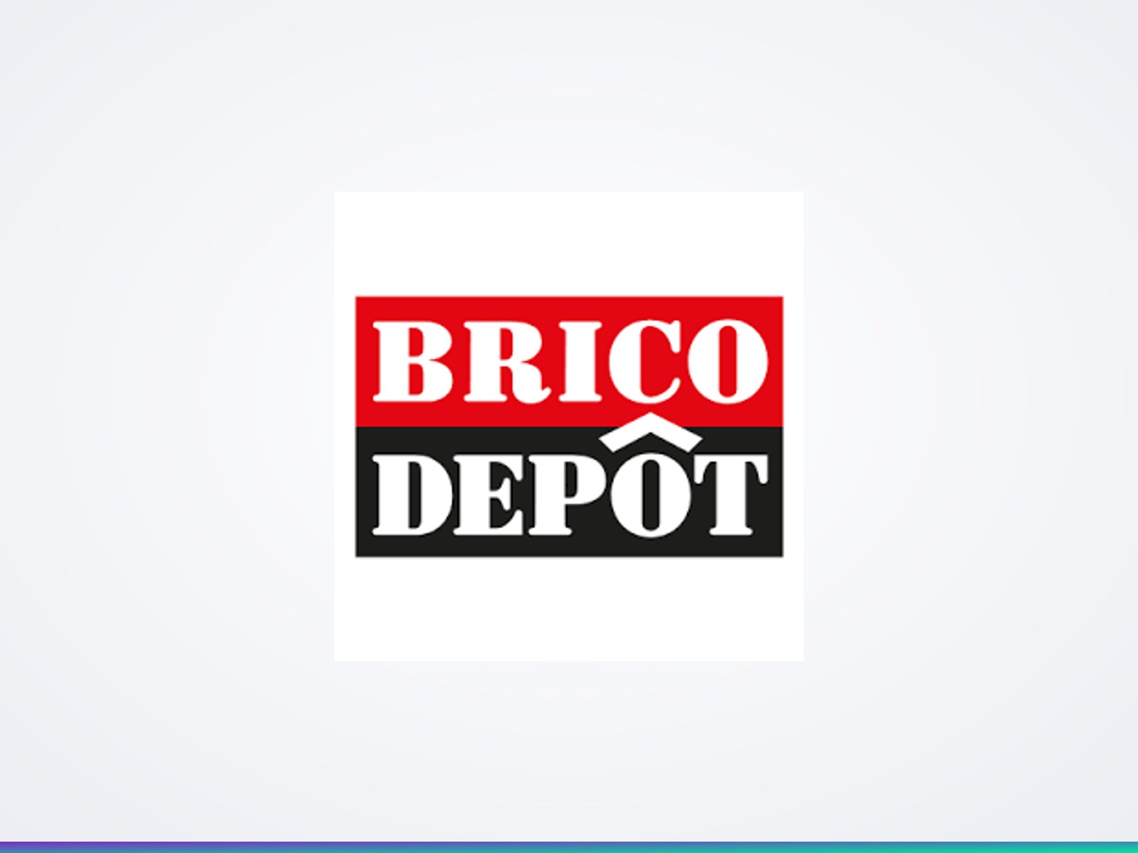 Brico Dépôt — projet Marketing Digital réalisé par Wizz You