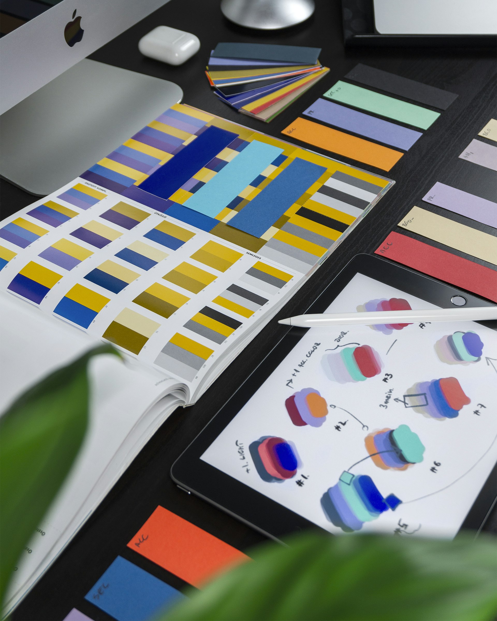 Brand identity assets adapted for the French market