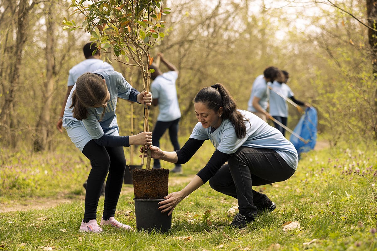 Projet digital et engagement RSE : plantation d’arbre par Wizz You