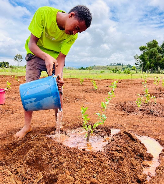 Jeune engagé dans une action de reforestation solidaire