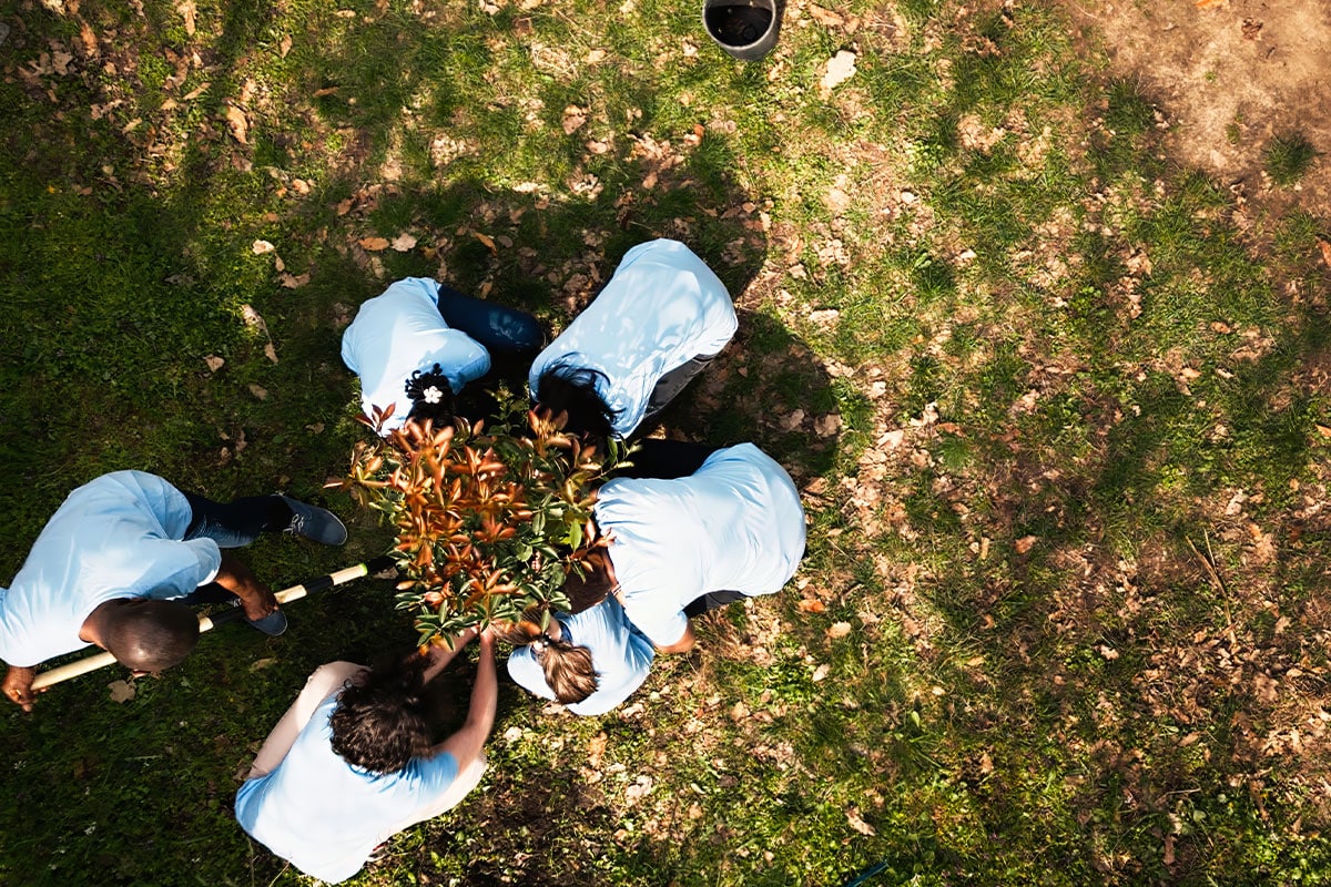 Agence web engagée en RSE lors d’une action collective de plantation d’arbres